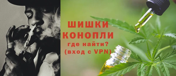 твердый Володарск
