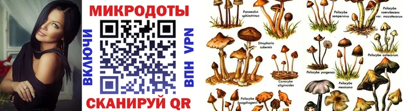 Псилоцибиновые грибы прущие грибы  Монино 